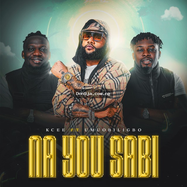 Na You Sabi cover art