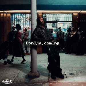 Nights In The Sun  cover art