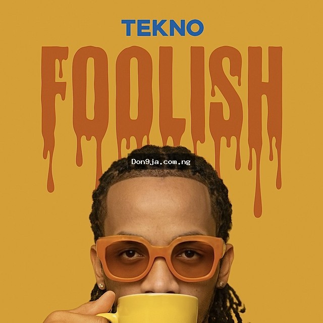 Foolish cover art
